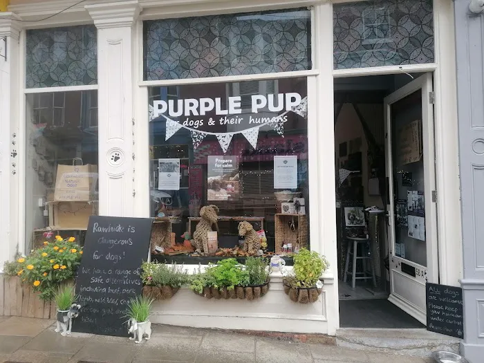 Purple Pup for dogs and their humans (Yorkshire's first canine enrichment shop) Picture 3