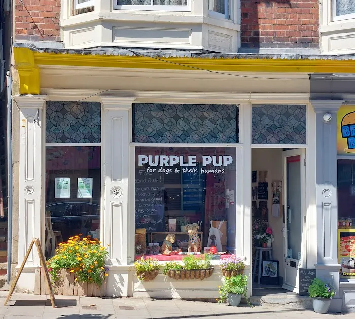 Purple Pup for dogs and their humans (Yorkshire's first canine enrichment shop) Picture 6