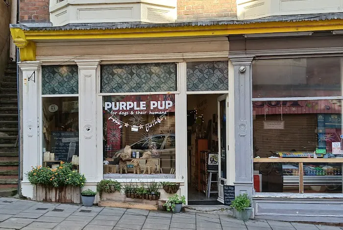 Purple Pup for dogs and their humans (Yorkshire's first canine enrichment shop) Picture 8