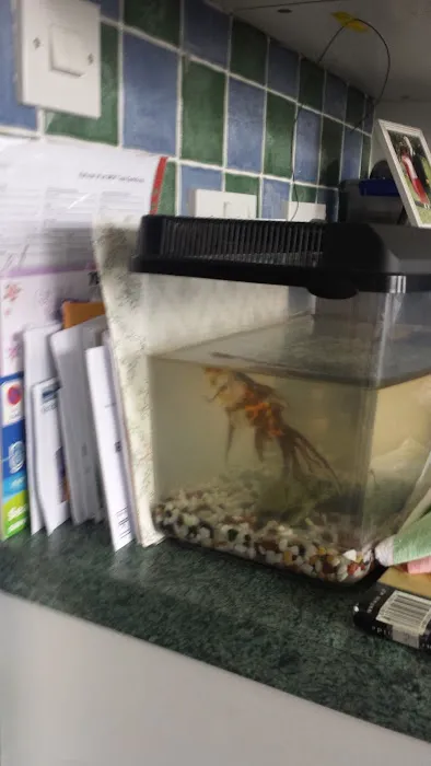 Whitby Pet Shop LTD Picture 4