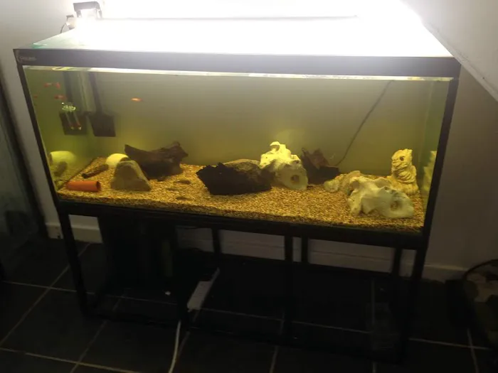 Whitby Pet Shop LTD Picture 2