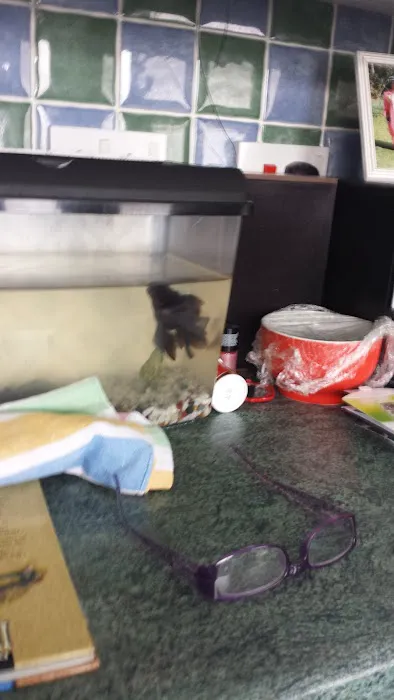 Whitby Pet Shop LTD Picture 9