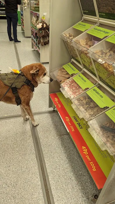 Pets at Home Coleraine Picture 1