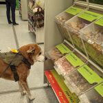 Pets at Home Coleraine