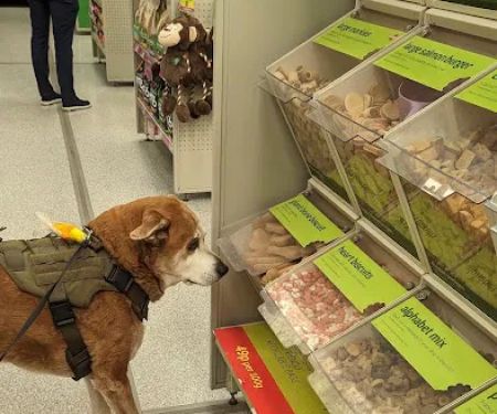 Pets at Home Coleraine