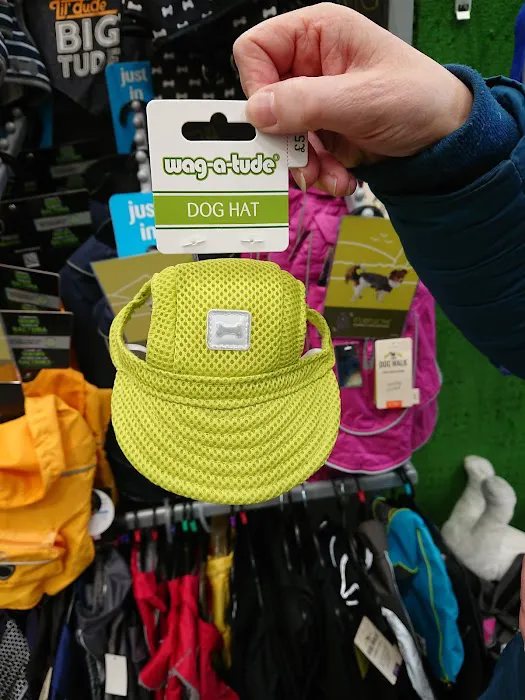 Pets at Home Coleraine Picture 10