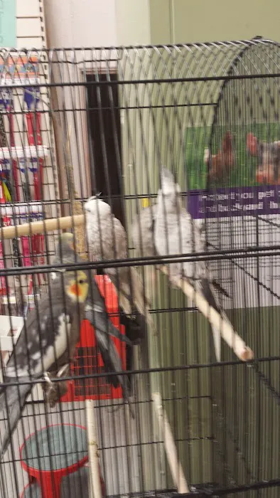 Jollyes - The Pet People Coleraine Picture 3