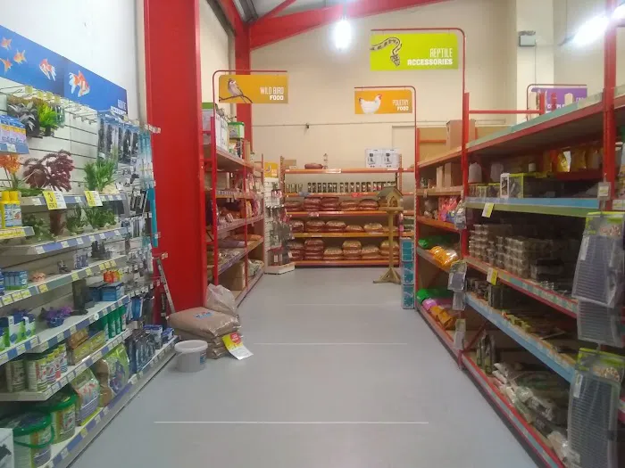 Jollyes - The Pet People Coleraine Picture 1