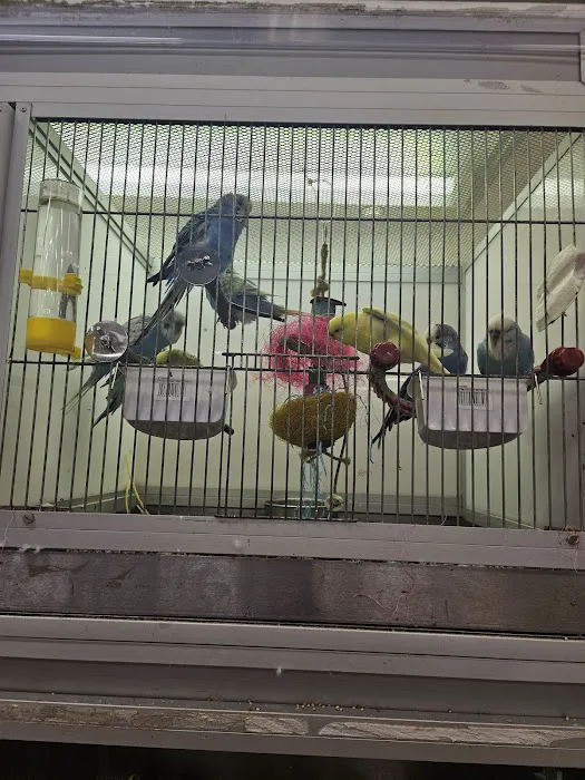 Jollyes - The Pet People Coleraine Picture 5