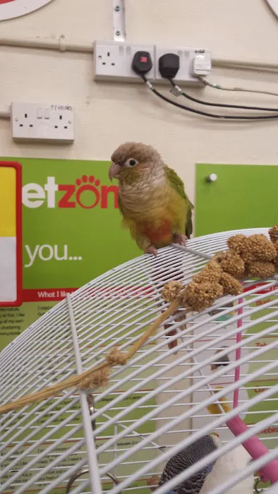 Jollyes - The Pet People Coleraine Picture 6