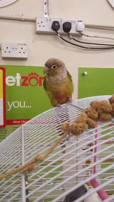 Jollyes - The Pet People Coleraine Picture 8