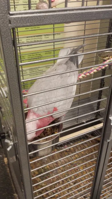 Jollyes - The Pet People Coleraine Picture 9