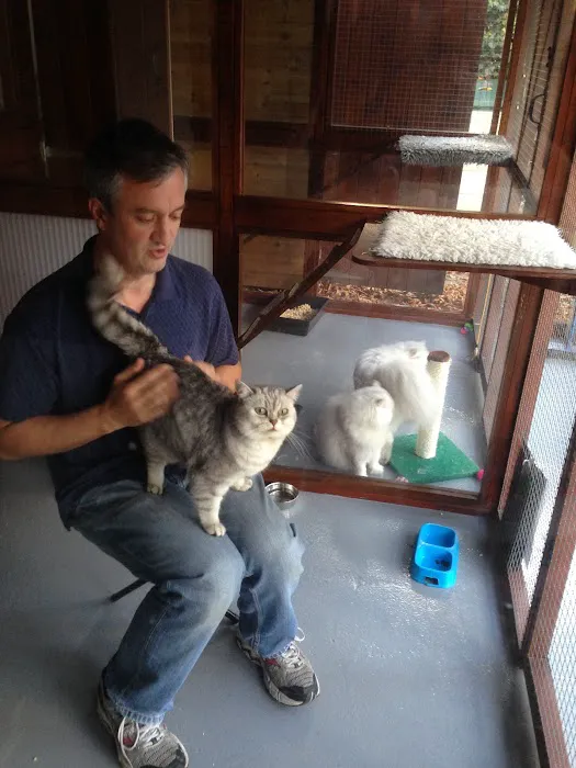 Little Glen Cattery Picture 6