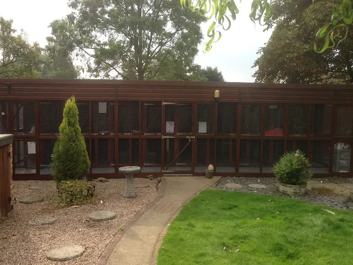 Little Glen Cattery Picture 10