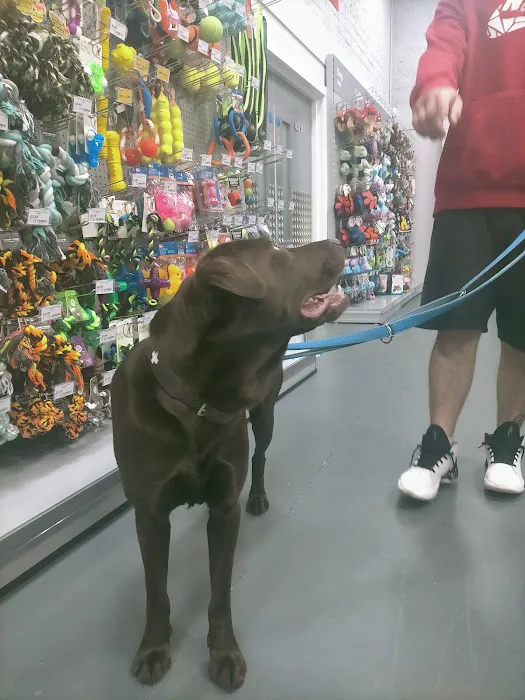 Jollyes - The Pet People Cookstown Picture 1