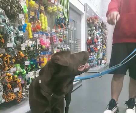 Jollyes - The Pet People Cookstown