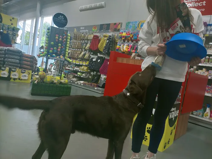 Jollyes - The Pet People Cookstown Picture 6