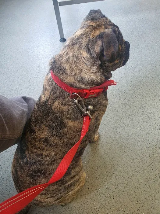 The Park Vet Group in East Leicestershire Picture 1