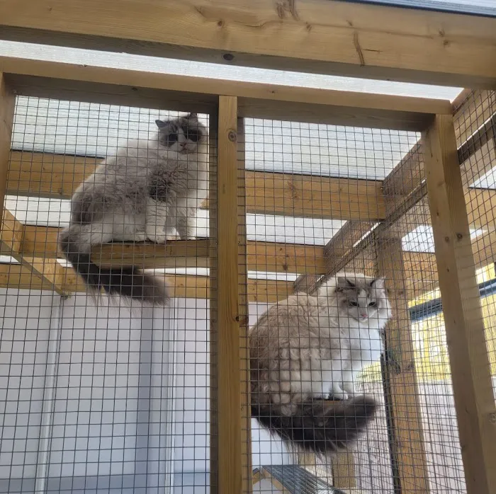 Furry Friends Petcare Services Picture 1