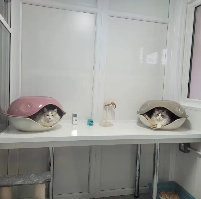 Furry Friends Petcare Services Picture 4