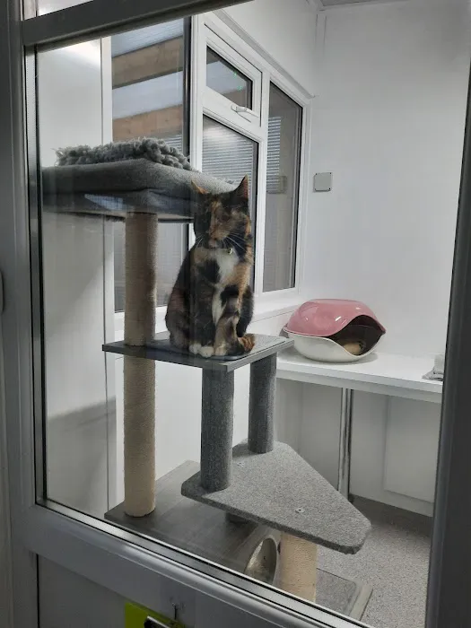 Furry Friends Petcare Services Picture 3