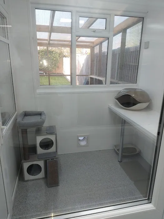 Furry Friends Petcare Services Picture 9