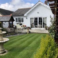 The Haven Luxury Cat Hotel ico