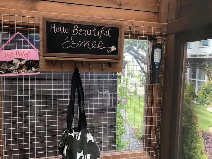The Haven Luxury Cat Hotel Picture 9