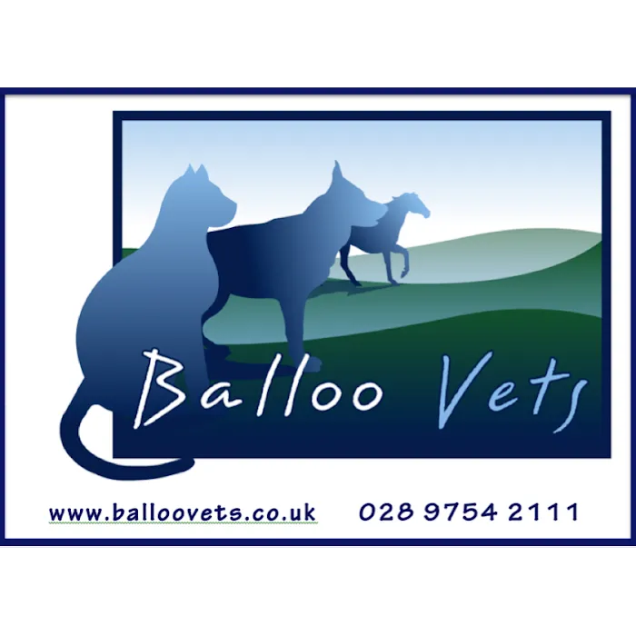 Balloo Vets Picture 1