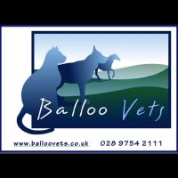 Balloo Vets ico