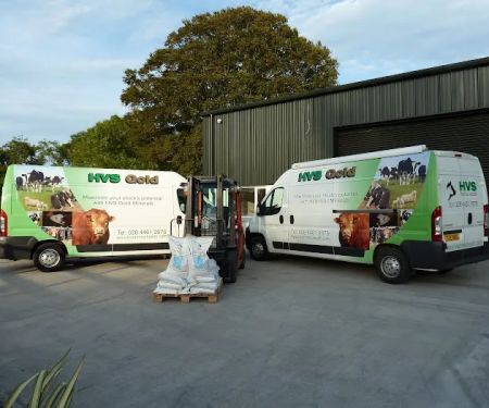 H V S Animal Health