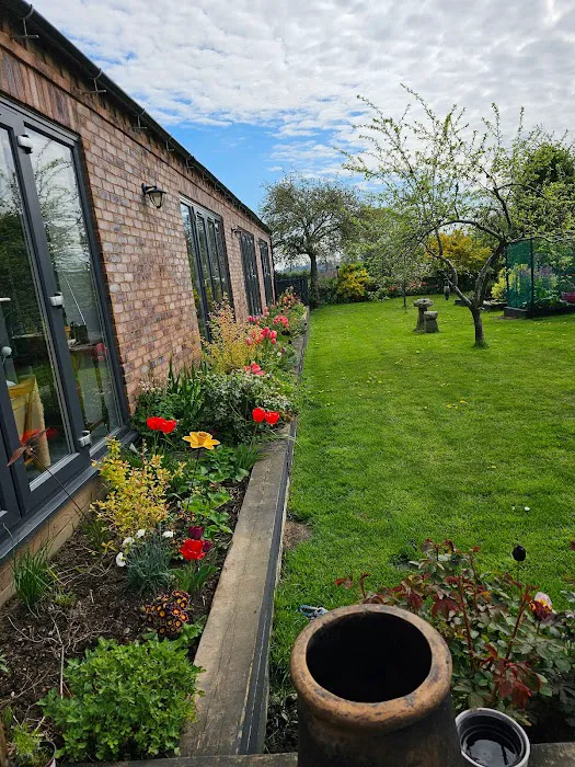 Lilac Lodge Cattery Picture 8