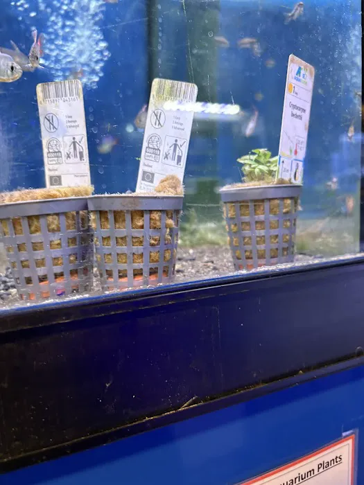 Maidenhead Aquatics Lisburn Picture 2