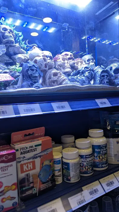 Maidenhead Aquatics Lisburn Picture 3