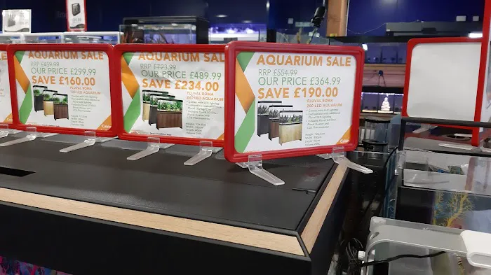 Maidenhead Aquatics Lisburn Picture 6