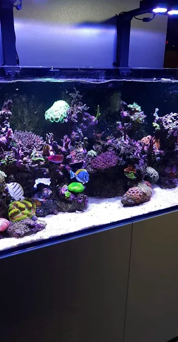 Reptile Hunters Picture 2