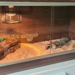 Reptile Hunters