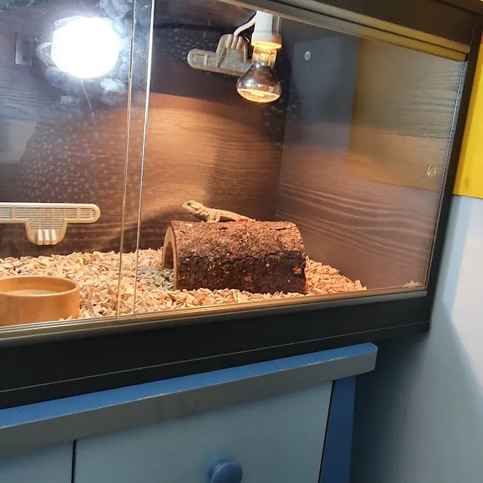 Reptile Hunters Picture 5