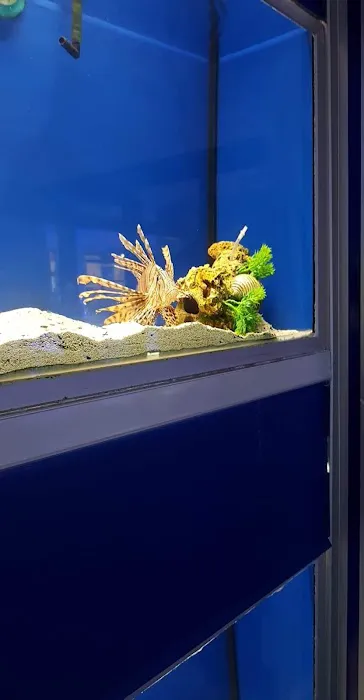 Reptile Hunters Picture 4