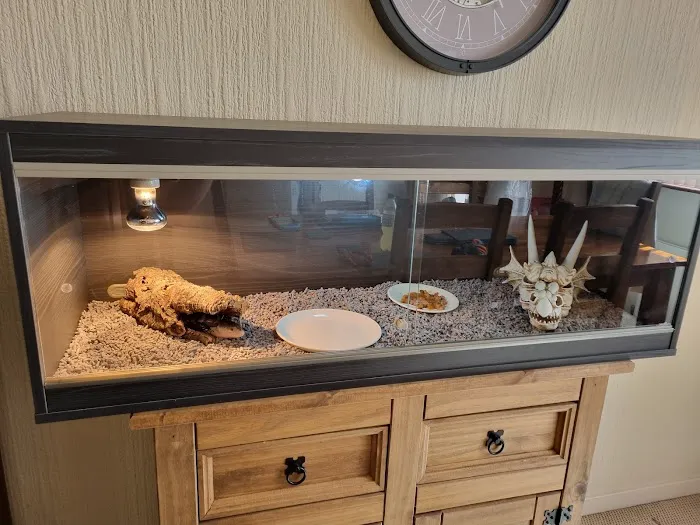 Reptile Hunters Picture 6