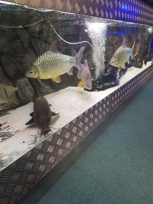 Reptile Hunters Picture 7