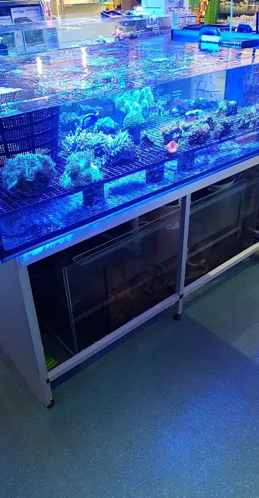 Reptile Hunters Picture 10