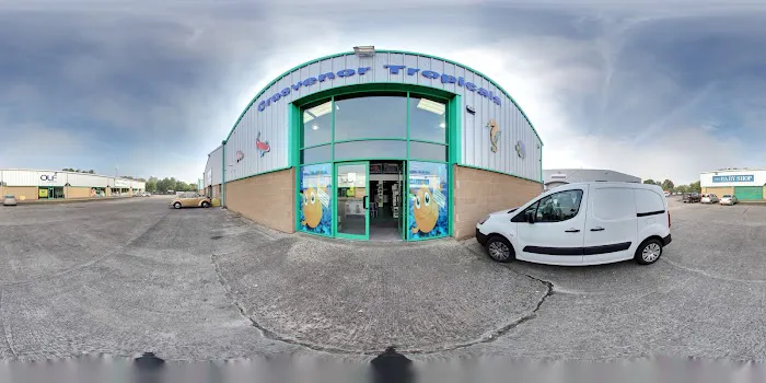 Grosvenor Tropicals Picture 3