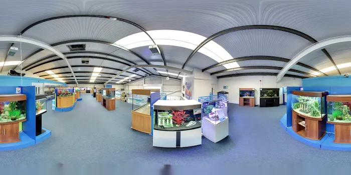 Grosvenor Tropicals Picture 6