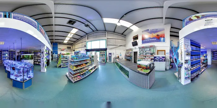 Grosvenor Tropicals Picture 5