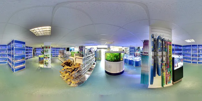 Grosvenor Tropicals Picture 10