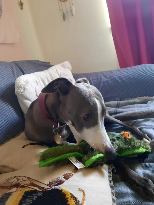 Barkelicious Bakes Boutique Picture 5