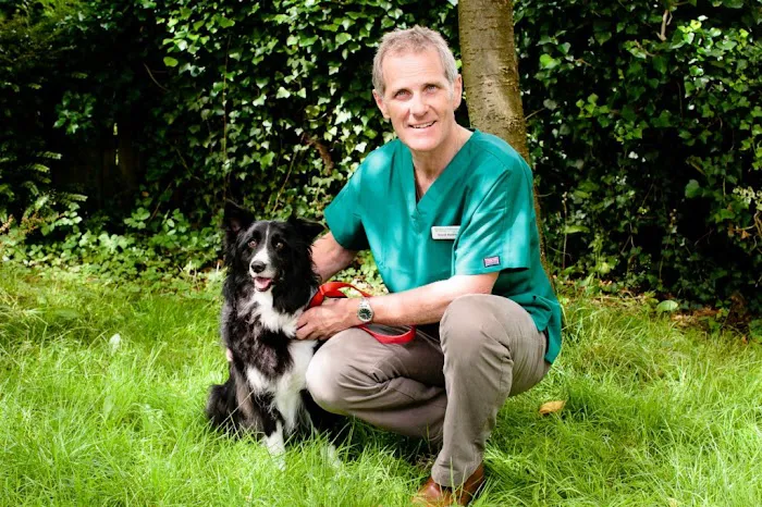 Dermvet Skin & Ear Clinic Picture 3