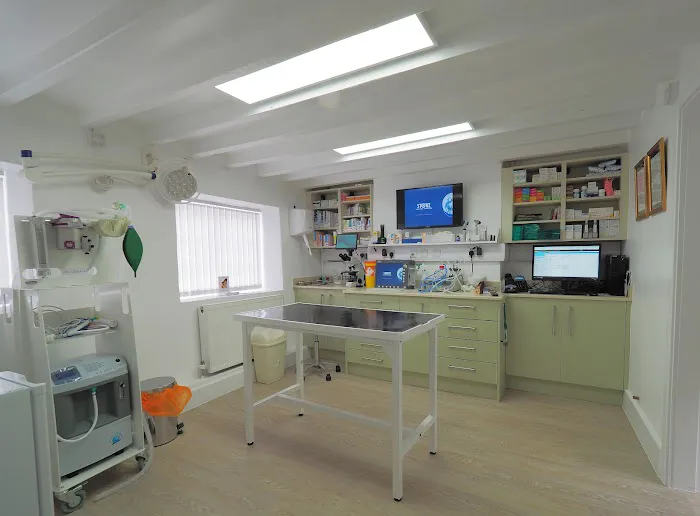 Dermvet Skin & Ear Clinic Picture 4