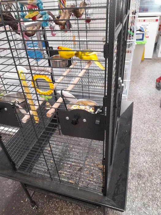 Jollyes - The Pet People Lisburn Picture 4